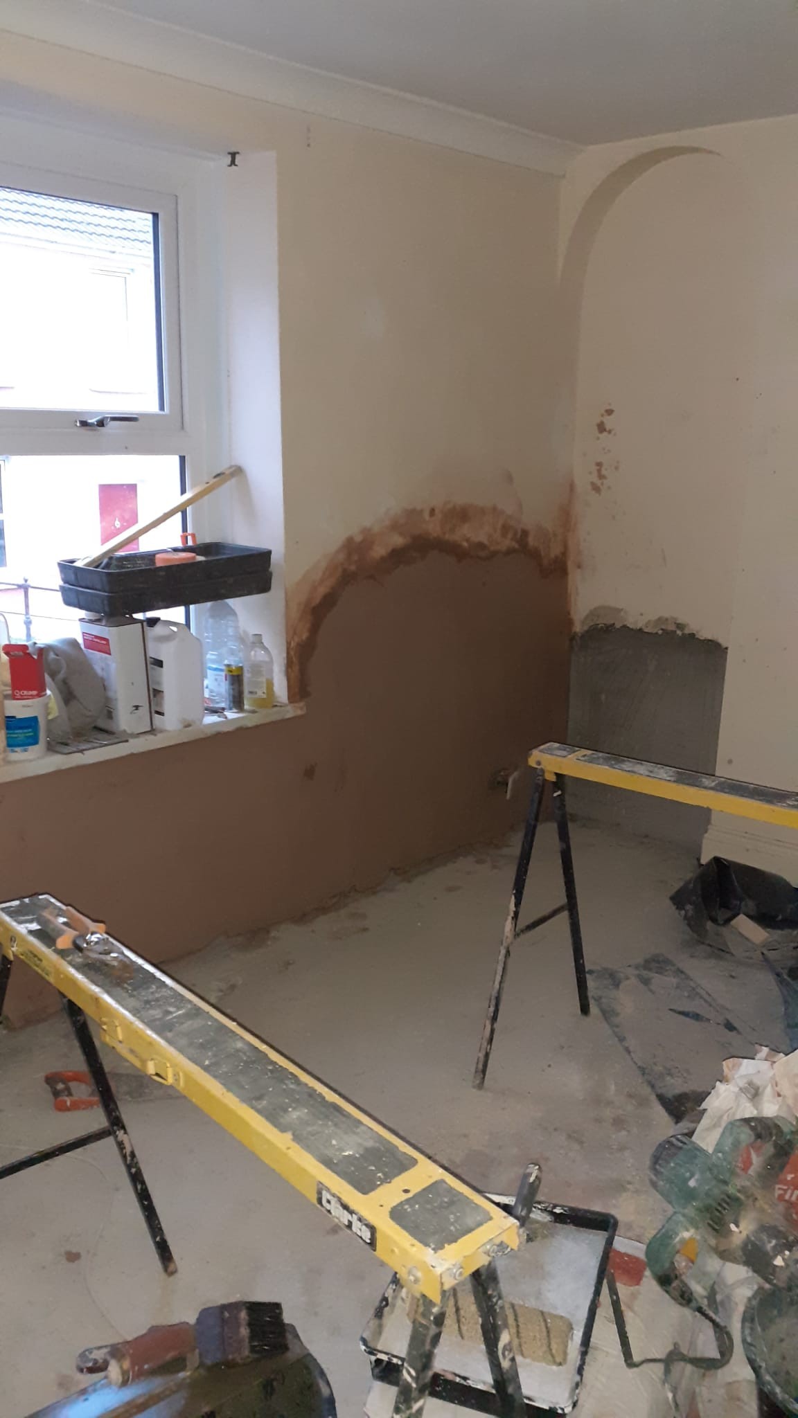 Front room dry rot discovery